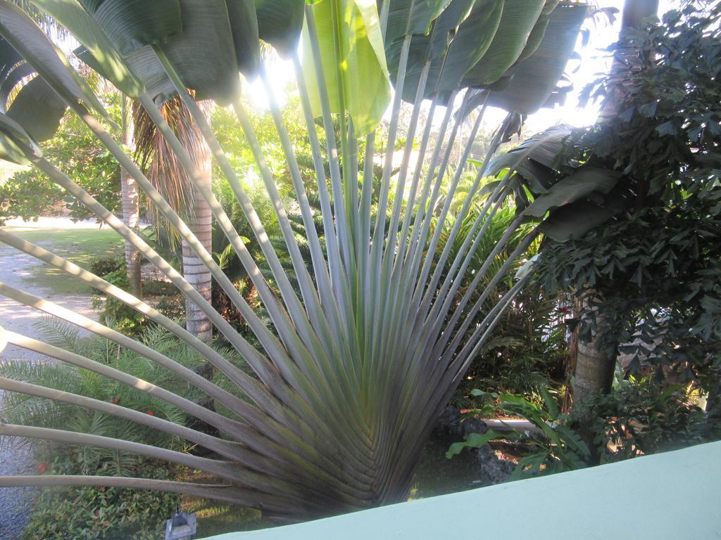 Hotel Cambri Nagua Buitenkant foto