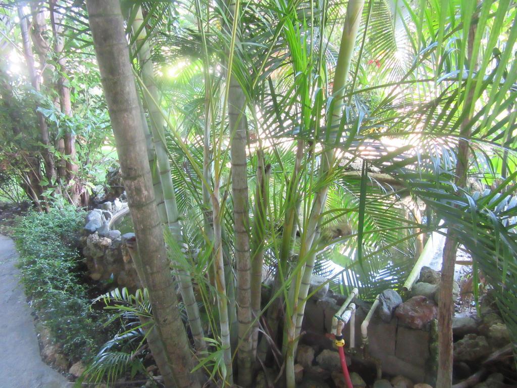 Hotel Cambri Nagua Buitenkant foto